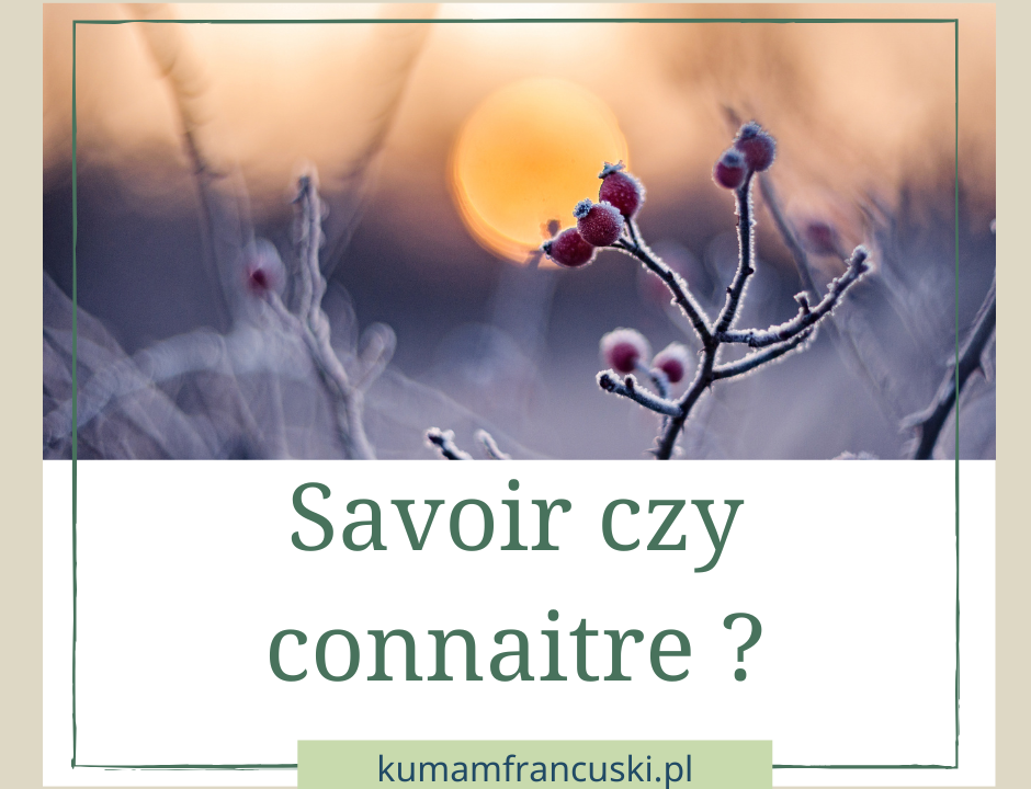 savoir czy connaitre